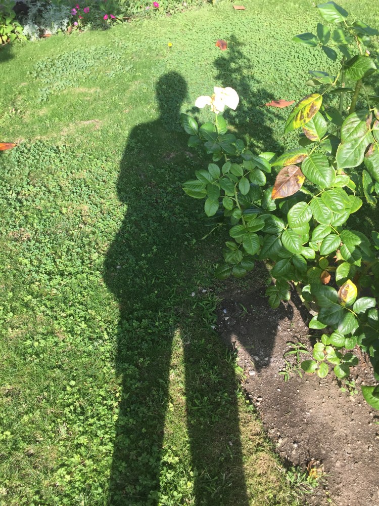 9408CB0D-B6CF-4FD4-A989-437A6003595E