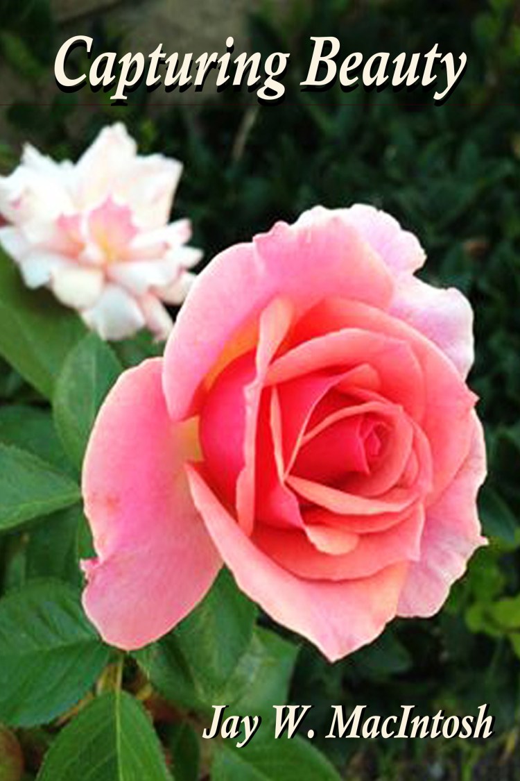 CB - New Cover Flower2-sham