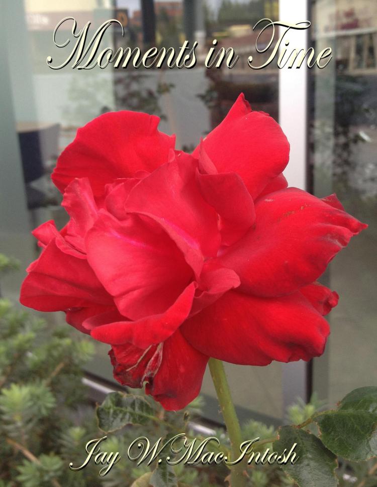 Moments_In_Time_Cover_for_Kindle