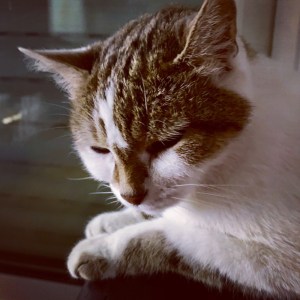 F518D0F0-F25E-4C0D-BA64-D40EC63A85C5