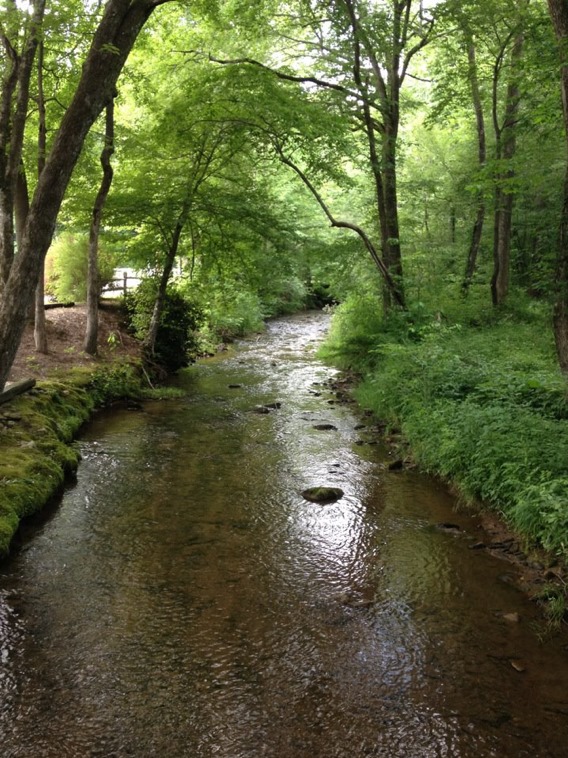 The Creeks at the Cabin