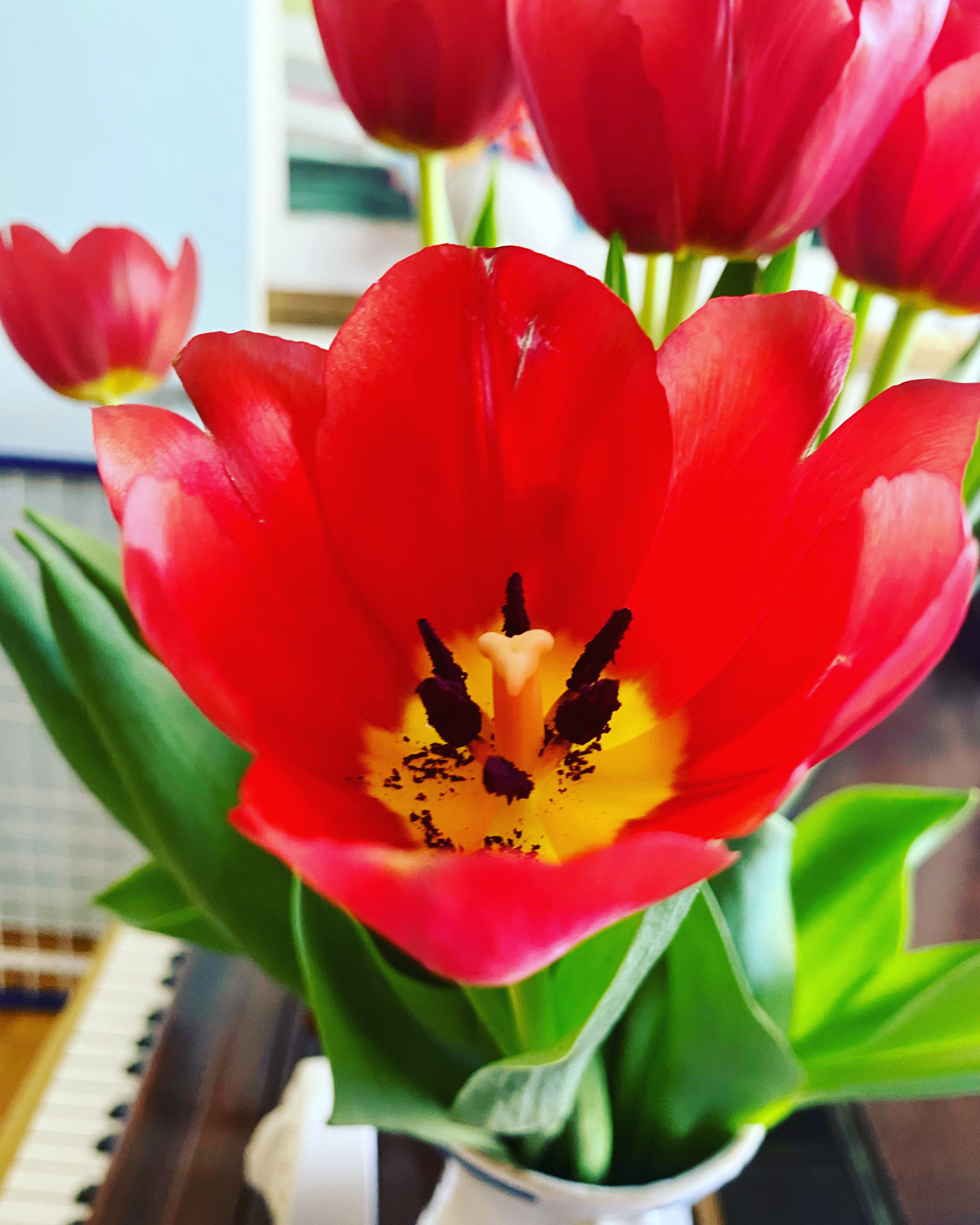 8597ffe2-e425-4cd0-9d83-6a391f00625c